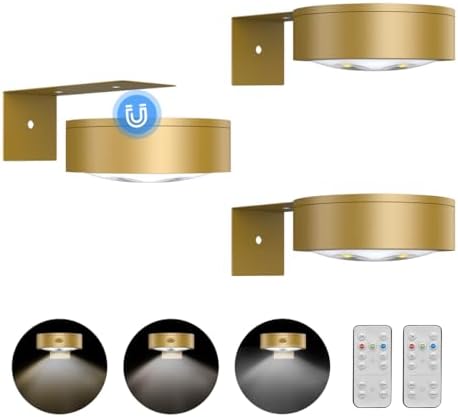 3Pack Picture Light Battery Operated Painting Lights by Xuolder