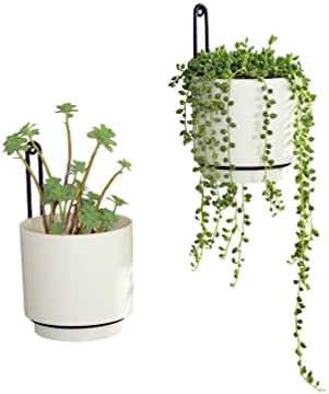 2 Pcs Wall Mounted Hanging Planter Vase - Image 3