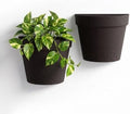 Asnext 2 Pack Indoor Wall Planter, 7.5 Inch Wall Planter Pot by Unknown