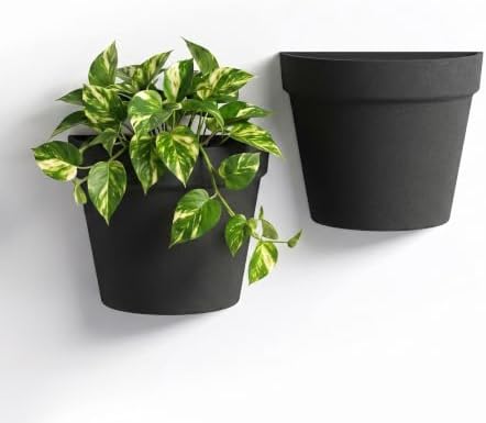 Asnext 2 Pack Indoor Wall Planter, 7.5 Inch Wall Hanging Planter by Unknown