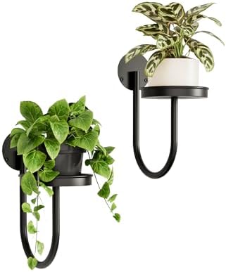 Bamworld Wall Plant Holder for Hanging Planters by Bamworld