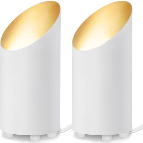 SUNVIE 2 Pack Uplighting Indoor Floor Can Light, 5W Up Lights by SUNVIE
