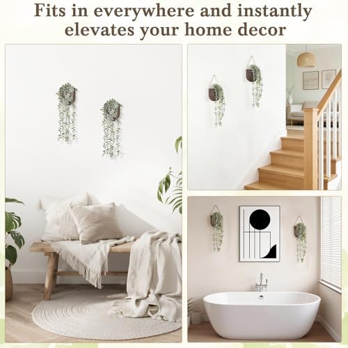 Dahey 2 Pack Wall Planter Vase - Image 7