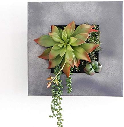 Modern Home Living Wall Galvanized Steel/Zinc Succulent Planter, Wall Mounted - Image 5