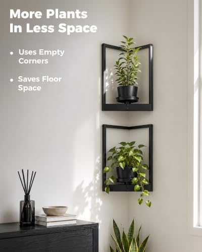 Bamworld Picture Frame Wall Planters Set of 2 Corner Wall Plant Holder - Image 3