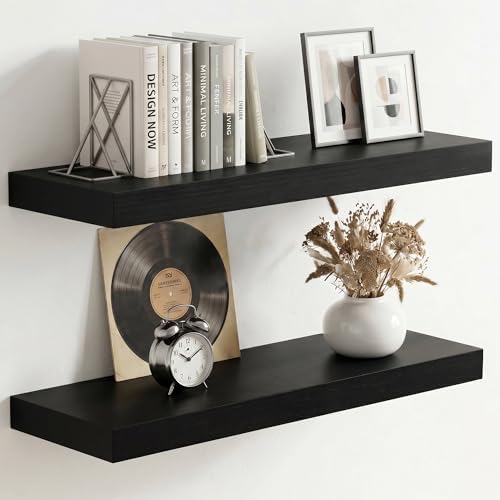 fuqing 20 Inch Floating Shelves, 6.7 Inch Deep Black Wall Shelves Set of 2 by Fuqing