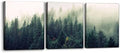 Pacimo Canvas Print Wall Art Set Aerial View of Pine Trees in Mist Nature by Pacimo