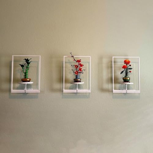 Picture Frame Wall Planters Set of 3, Modern Metal Hanging Shelves - Image 5