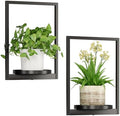 Hanging Planters for Indoor Plants by Qiaogreen