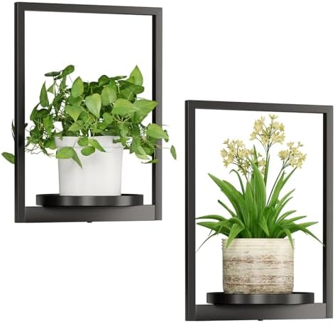 Hanging Planters for Indoor Plants by Qiaogreen