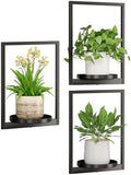 Hanging Planters for Indoor Plants by Qiaogreen