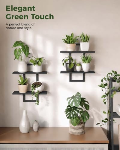 Bamworld Floating Shelves for Wall Planters Indoor Hanging Plant Shelves - Image 4