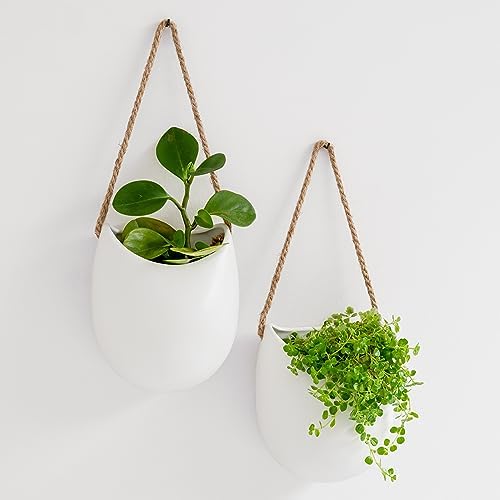 Kazai. Wall Planters -Ellie- | Hanging Ceramic Plant Pots 2 Pieces | Wall by KAZAI