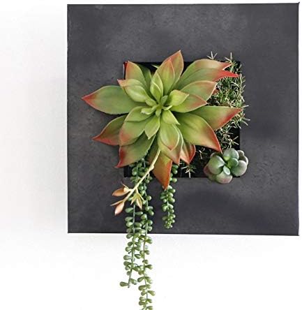 Modern Home Living Wall Galvanized Steel/Zinc Succulent Planter, Wall Mounted - Image 4