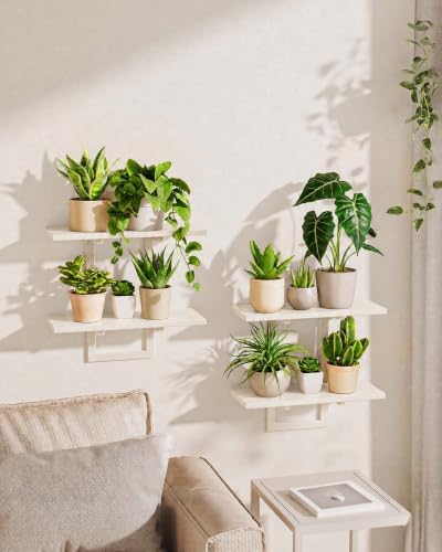 Bamworld Floating Shelves for Wall Planters Indoor Hanging Plant Shelves by Bamworld