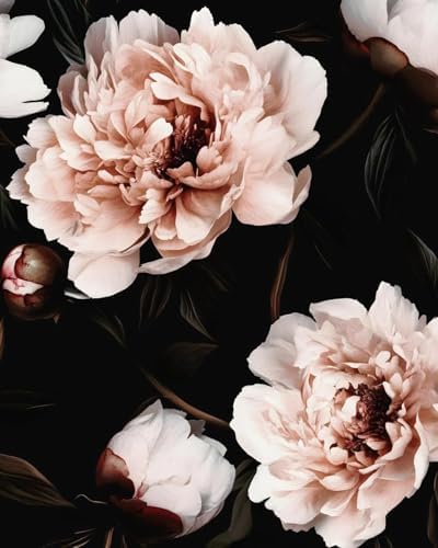 Black Pink Floral Peel and Stick Vintage Peony Wallpaper 17.5X 393 by XRUIBZI