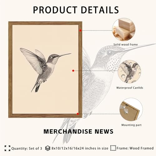 Vintage Framed Wall Art, Birds Canvas Prints, Hummingbird Sketch Painting - Image 5