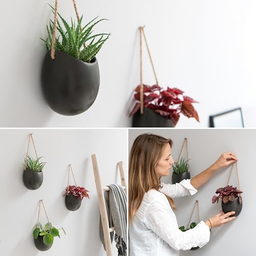 Kazai. Wall Planters -Ellie- | Hanging Ceramic Plant Pots 3 Pieces | Wall - Image 3