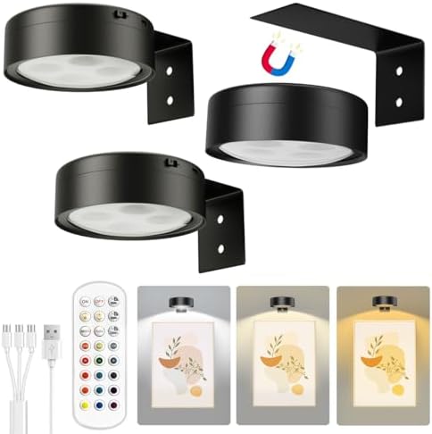 Xuolder Picture Lights for Wall, 2000mAh Rechargeable Battery Poster Lights LED by Xuolder