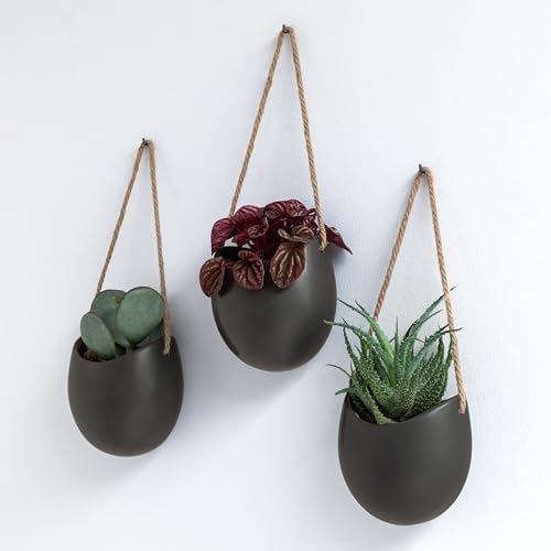 Kazai. Wall Planters -Ellie- | Hanging Ceramic Plant Pots 3 Pieces | Wall by KAZAI