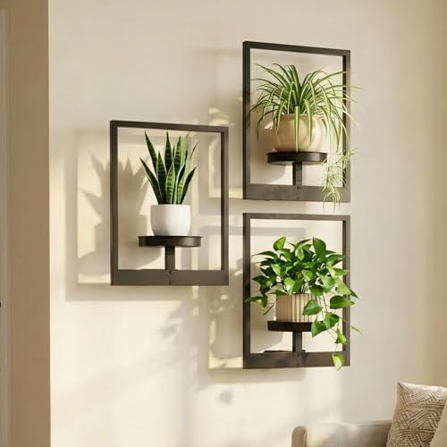 Picture Frame Wall Planters Set of 3, Modern Metal Hanging Shelves by Bbteroiu