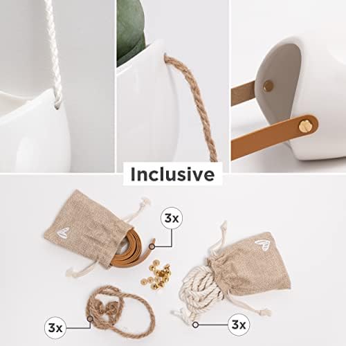 Kazai. Wall Planters -Ellie- | Hanging Ceramic Plant Pots 3 Pieces | Wall - Image 2