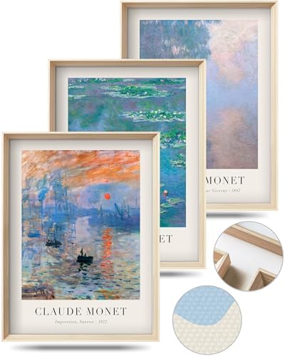 HesenDot Framed Claude Monet Water Lilies Canvas Wall Art Set of 3 12x16in by HesenDot
