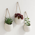 Kazai. Wall Planters -Ellie- | Hanging Ceramic Plant Pots 3 Pieces | Wall by KAZAI