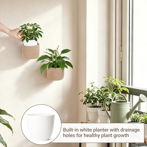 Dahey 2 Pcs Woven Wall Baskets - Image 5