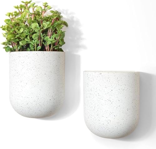 LA Jolie Muse Wall Planters for Indoor Plants, Hanging Flower Pots, 2 Pack by LaJol%C3%ADeMuse