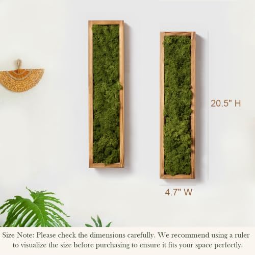 Mokof Preserved Moss Wall Art Decor, Moss Green, 2 Pack - Image 3