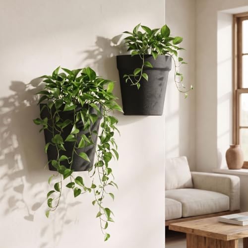 Asnext 2 Pack Indoor Wall Planter, 7.5 Inch Wall Hanging Planter - Image 3