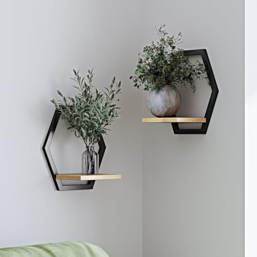 2 Pack Hexagon Wall Plant Stands, 9 Inch Wood Shelf Black by HomecourtyardsInterio