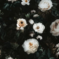 White Vintage Floral Peel and Stick Wallpaper 17.5" x 393" by XRUIBZI