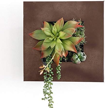 Modern Home Living Wall Galvanized Steel/Zinc Succulent Planter, Wall Mounted - Image 4