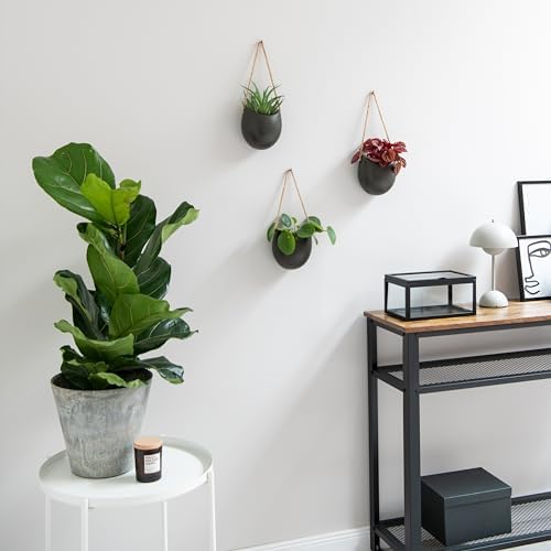 Kazai. Wall Planters -Ellie- | Hanging Ceramic Plant Pots 3 Pieces | Wall - Image 4