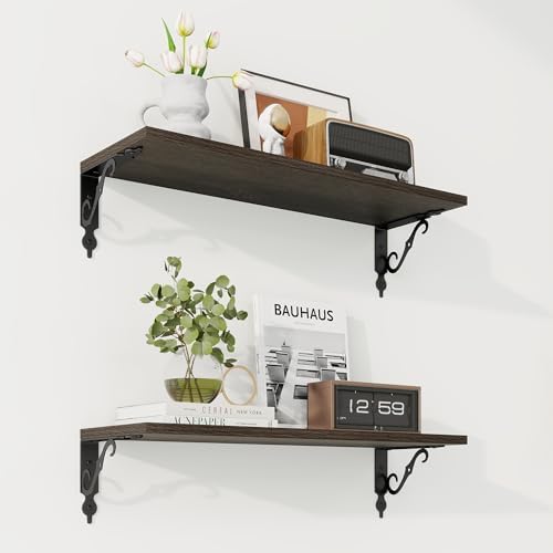 RICHFOCUS Floating Shelves for Wall Decor, 24Inch Shelves Set of 2, 24W x 8D by RICHFOCUS