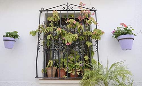 Darware Metal Wall Ring Planters - Image 3