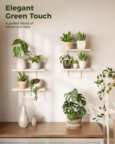 Bamworld Floating Shelves for Wall Planters Indoor Hanging Plant Shelves - Image 4