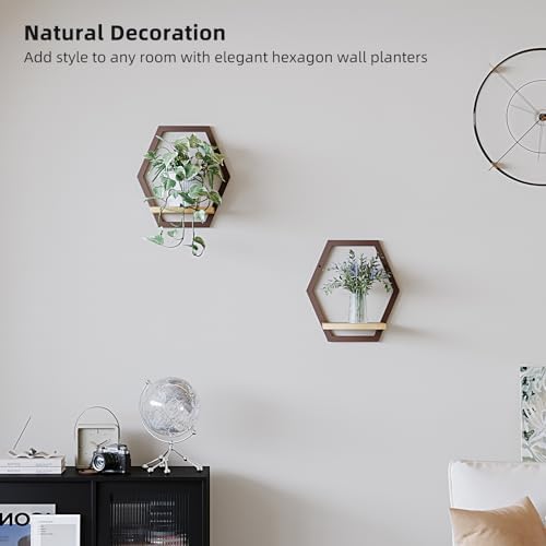 2 Pack Hexagon Wall Plant Stands, 9 Inch Wood Shelf Coffee - Image 2