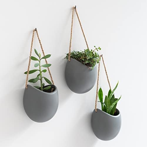 Kazai. Wall Planters -Ellie- | Hanging Ceramic Plant Pots 3 Pieces | Wall by KAZAI