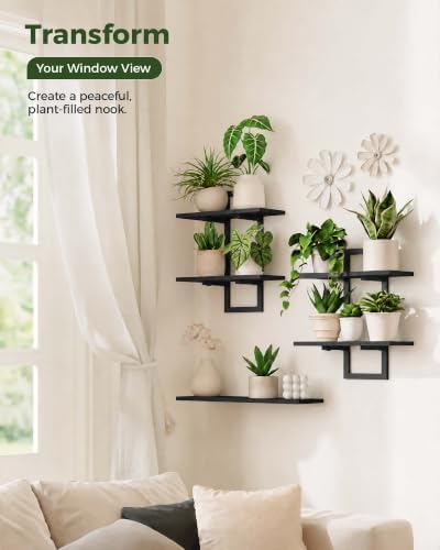 Bamworld Floating Shelves for Wall Planters Indoor Hanging Plant Shelves - Image 3