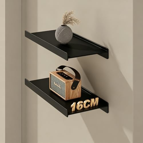 Widen Floating Shelves for Wall, Wall Mounted Shelves by Dancrul