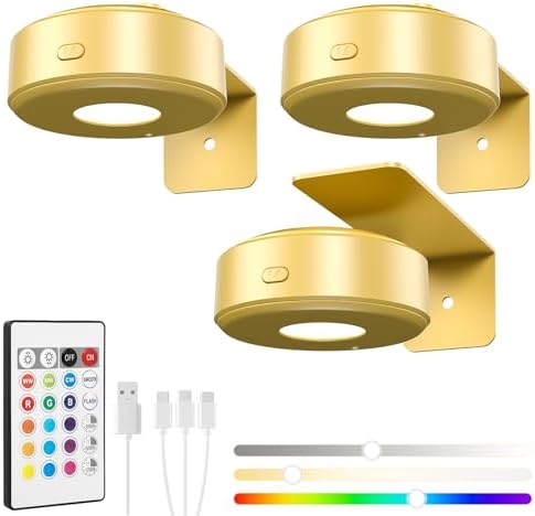 3 Pcs Picture Lights, Rechargeable Battery Operated Dimmable 3-Color Wall Light by Unknown