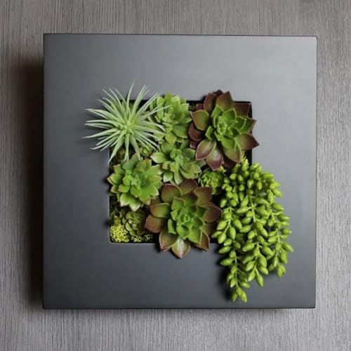 Modern Home Living Wall Galvanized Steel/Zinc Succulent Planter, Wall Mounted - Image 3