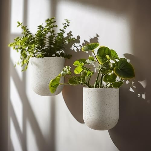 LA Jolie Muse Wall Planters for Indoor Plants, Hanging Flower Pots, 2 Pack - Image 3