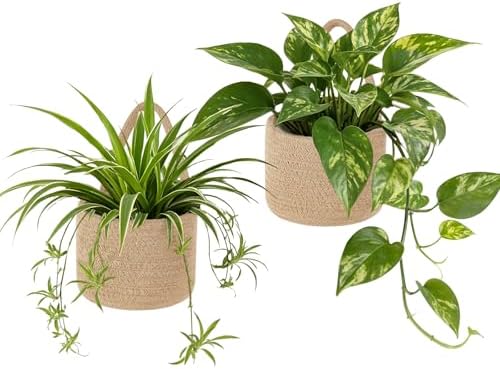 Dahey 2 Pcs Woven Wall Baskets by Dahey