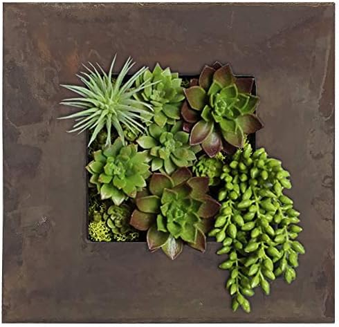 Modern Home Living Wall Galvanized Steel/Zinc Succulent Planter, Wall Mounted by Vandue