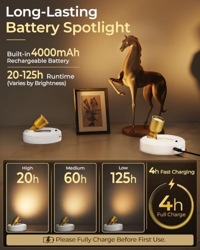 EZVALO Spotlight Indoor, Rechargeable Battery Picture Lights, Wireless Uplights - Image 3