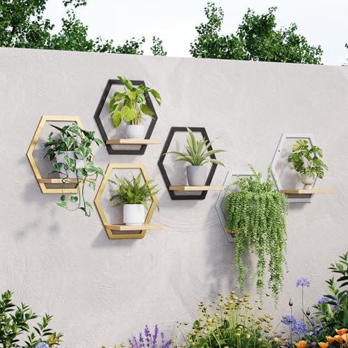 2 Pack Hexagon Wall Plant Stands, 9 Inch Wood Shelf Black - Image 6